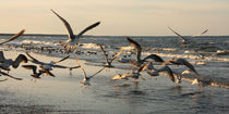 Ostsee3 von Chris Hepner
