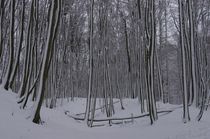 Winterwunderland by m-i-ma