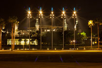 University of Tampa at Night von John Bailey