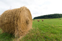 hay bales in a meadow by hansenn