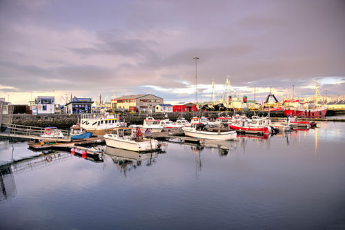 Reykjavik-harbour
