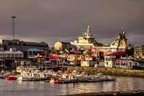Reykjavik Harbour  von Rob Hawkins
