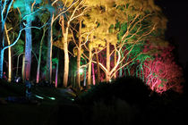 Kings Park at night - Perth - Western Australia by Jörg Sobottka