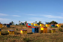 Coloured bee-hives - Chalkidiki - Greece von Jörg Sobottka