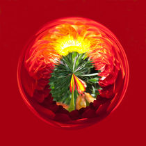 Fire Globe by Robert Gipson