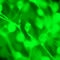Plant-abstract-green