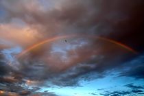 Under the Rainbow von Steve Ball
