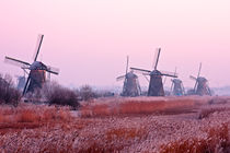 Winter at Kinderdijk in the Netherlands by nilaya