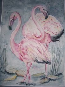 Flamingos by Eveline  Leibrock