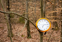 Uhr an einem Baum im Wald - seltsamer Fund von Matthias Hauser
