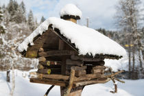 Vogelhäuschen aus Holz im Winter mit Schnee by Matthias Hauser