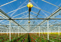 commercial greenhouse by hansenn