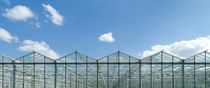 greenhouse exterior by hansenn