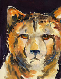 Gepard mit bernsteinfarbenen Augen by Sonja Jannichsen