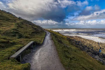 Path to Morte Point by Dave Wilkinson