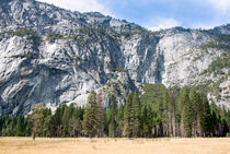 Yosemite Valley Wall von John Bailey