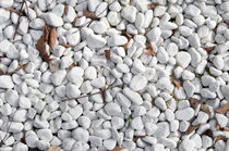 white pebble stones by hansenn