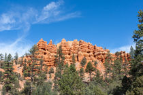Pillars And Ridges At Red Canyon by John Bailey