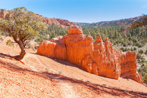 Hiking At Red Canyon State Park von John Bailey