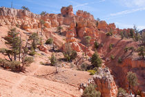 Red Canyon Trail by John Bailey
