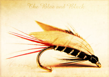 The-blae-and-black