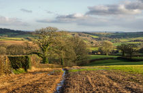 Farmland in Mid Devon by Pete Hemington