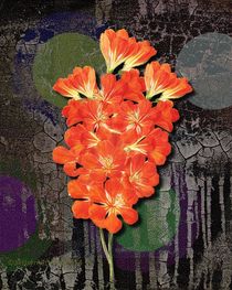 Flower meets Grunge meets Popart by mimulux