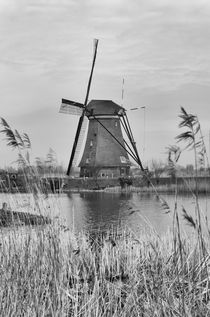dutch windmill von hansenn