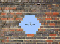 Wall Hole Plane von Steve Ball