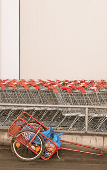 carts by Vera Kämpfe