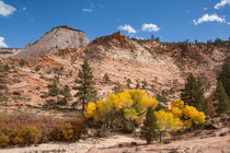 Colorful Zion by John Bailey