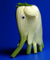 Fenchel Elefant by Rolf Brecht