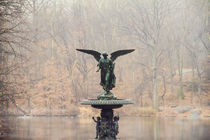 Central Park Angel by tfotodesign