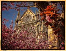 Notre Dame im Frühling von Uwe Karmrodt