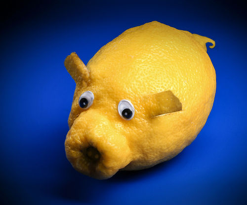 Zitronenschwein-ok