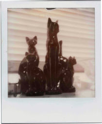 An Array of Midcentury Porcelain Cats (The Impossible Project Film) by Jon Woodhams
