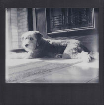 Windsor in the Sun (The Impossible Project Film) von Jon Woodhams