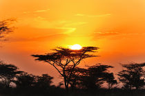 African Sunset by Jürgen Feuerer