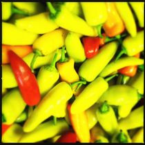 Hungarian Hot Wax Peppers by Green Moon Art