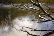 Melting Snow On Branches Over Rolleston Pond von Rod Johnson