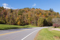 Drive Into Autumn Forests by John Bailey