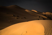 Wahiba Sands, Oman (2) by Eva Stadler