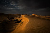 Wahiba Sands, Oman by Eva Stadler