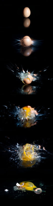 Exploding Egg von tfotodesign