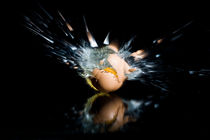 Exploding Egg by tfotodesign