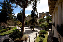 Garden of the Palace of St. Michael and St. George, Corfu, Greece by Andreas Jontsch