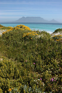 southafrica ... table mountain 02 by meleah