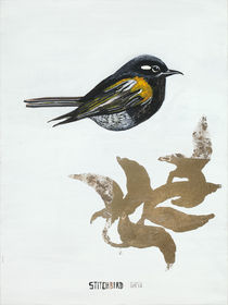 Stitchbird von Guy Harkness