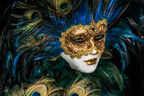 Carnevale di Venezia 2014  12 von Rolf Brecht