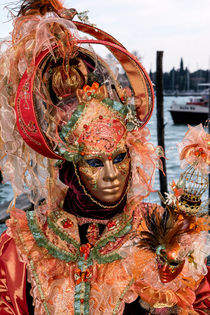 Carnevale di Venezia 2014  9 von Rolf Brecht